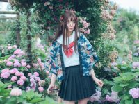 二次元五更百鬼，珍贵图包分享