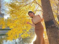 白银81全资源免费，美图合集共享