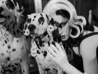 用ladalyumos angle拍摄的作品，让你置身神奇世界