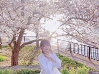 Mon梦脸书新作品，瞬间带你进入异次元