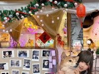 Miko酱微博瑶cos作品合集,震撼来袭