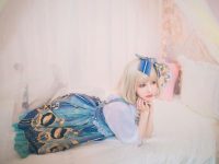 “一千只猫薄禾卖图”摄影作品，尽显猫咪魅力