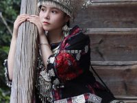 七月猫猫子壁纸超清，一次浏览多美图