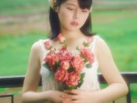 纯粹的美感：七月猫猫子摄影精选