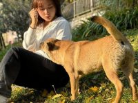 我的cos作品中三刀刀miidoo精灵村必不可少