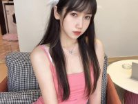 精灵宝可梦不呆猫最新图包，享受神奇冒险之旅