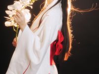 浅谈不呆猫个人资料代表性作品