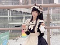 不呆猫作品送你,定制更符心意