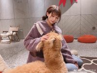 带你重温经典，凉凉子雪女是哪一套最原汁原味的原图