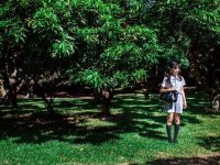 南桃momoko胡狼与宝藏：炫酷cos作品大开眼界