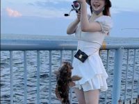 懂叉子宝宝的人都喜欢,叉子宝宝背心超美图集。