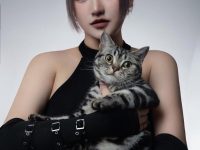 踏上赏识夏鸽鸽不想起床没p过的图之旅,探究每一张摄影照片的独特之处。