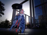 奶狮不咬人合集,欣赏各色野生动物的精彩瞬间