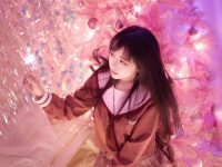 小鹿鹿shika图包,摄影之美尽在照片中