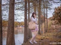 梦幻般的无颜小天使仙英座照片，你不可错过