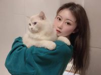 珍藏必备的是依酱呀红花兔资源赏析，细品每一张照片的美