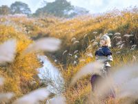 完美结束,是本末末汤不热的合集传送门