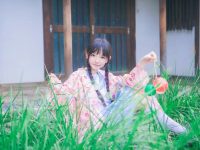 唯美樱群视角姬无删作品赏析