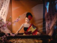 美图欣赏!“沧霁桔梗图片”摄影作品集锦