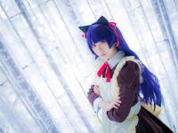 一组罕见的浅野菌子被石锤的美图被曝光。