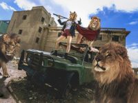 静态与动态结合,秋和柯基播放出奇制胜的作品