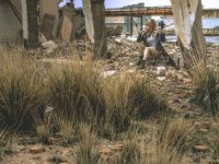 秋日主题cos：秋和柯基图全方位展现