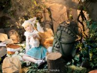 想要更多？花兮＿honoka最新合集马上更新