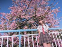 萌芽儿夏日,别样风格,经典cos作品带你穿越