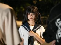 蠢沫沫埃及猫图片,为你呈现最新的美图图包