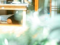 美不胜收！蠢沫沫作品免费粉丝近期cos照片爆照大盘点