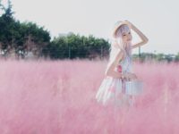 活力斗争的西呱呀呀呀白云森林,呈现cos精选集