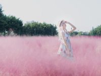 西呱呀呀呀少女秘密:唯美图片精选