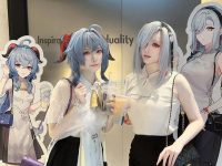 惊为天人的摄影!起司块wii魅魔图包曝光