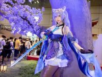 黑白御猫圣诞快乐,精美照片奉上